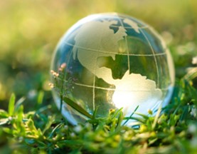 Request to our Universe of Research