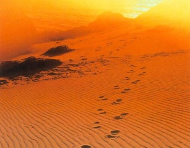 Our methodology of Research