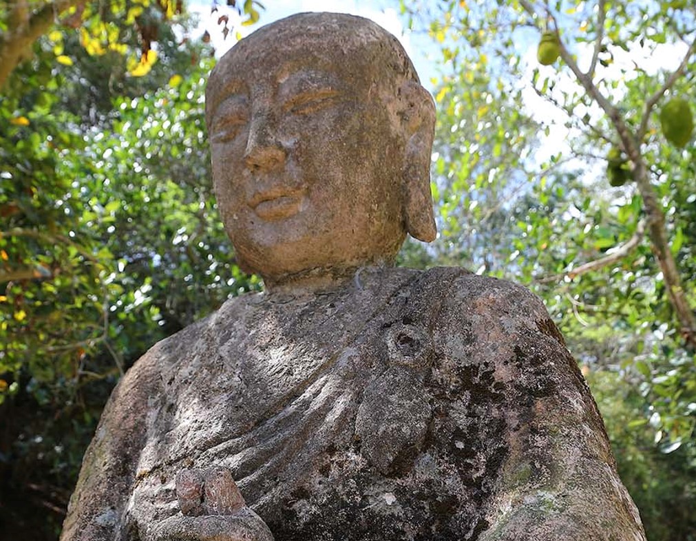 The Science of Humanities