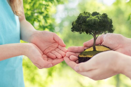 Our methodology of Research